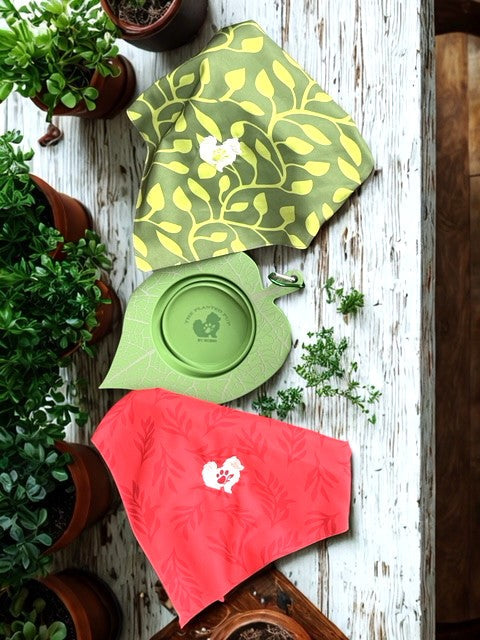 red and green dog bandanas with collapsible leaf shaped water bowl