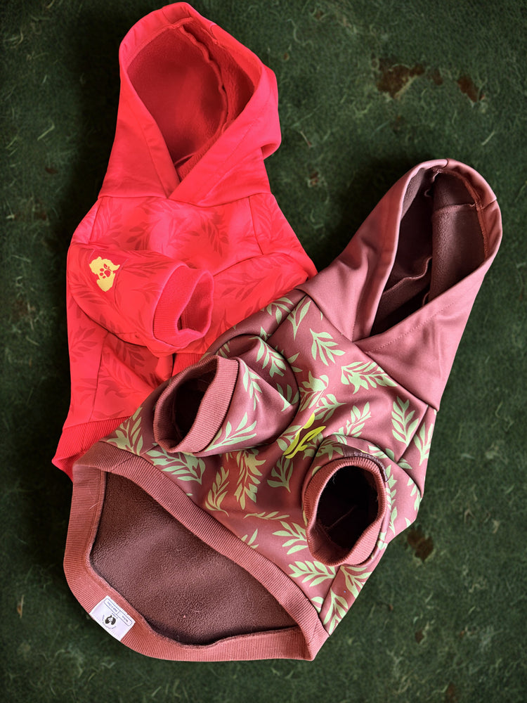 The Planted Fern Hoodie Collection