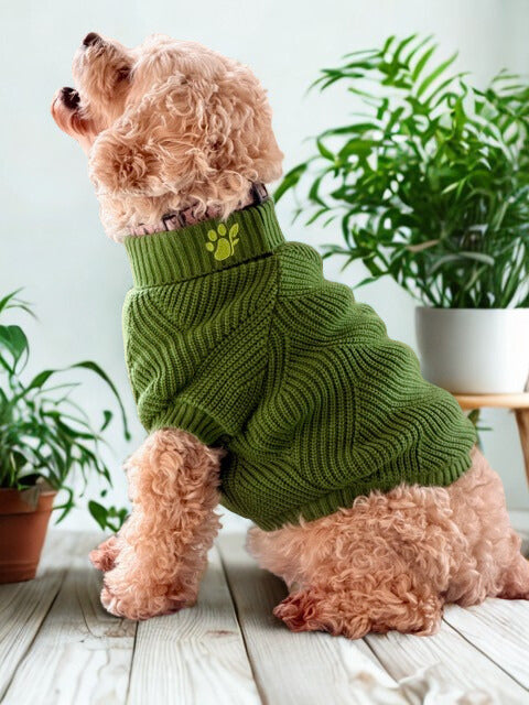 The Lena Collection Sweater — Leaf Green