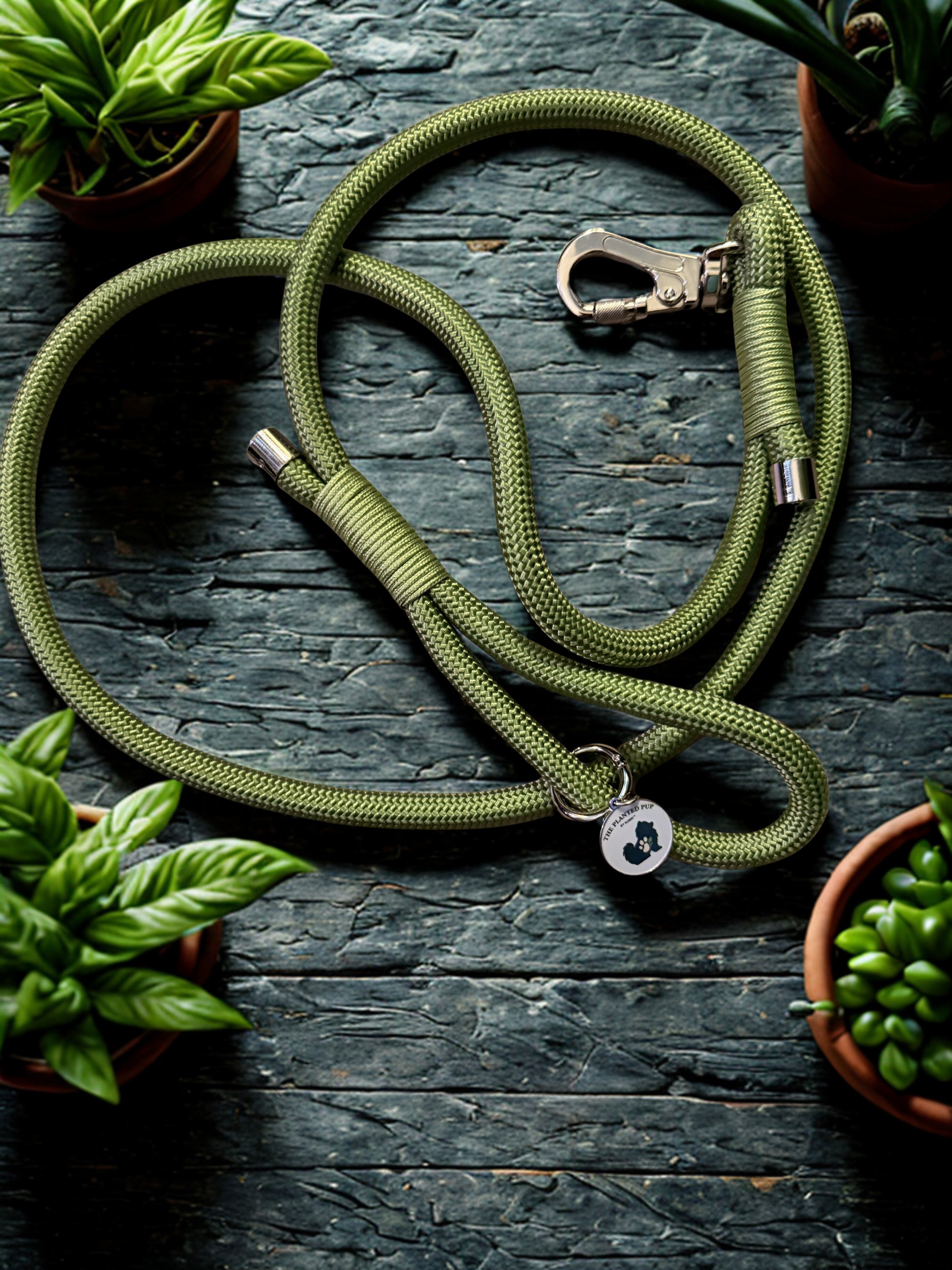 Green dog leash with a metal clip on a dark wooden surface surrounded by potted plants.