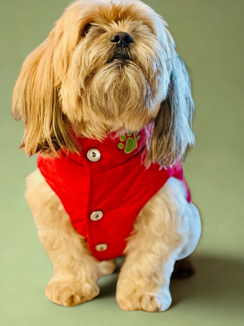 The Ruff Red Vest