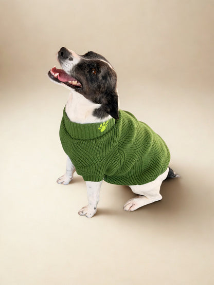 The Lena Collection Sweater — Leaf Green