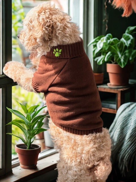 The Lena Collection Sweater — Bark Chocolate