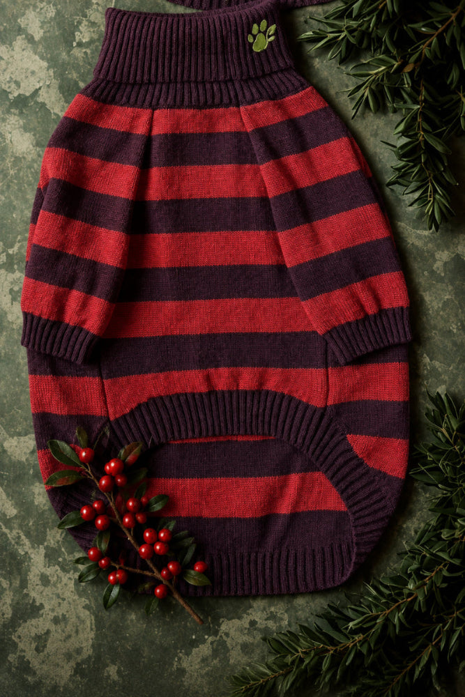 red and brown striped turtleneck sweater with green paw logo on neck