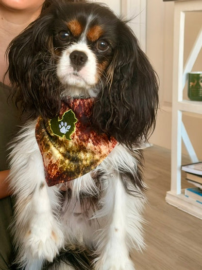 A small black-and-white dog wearing a patterned bandana with a green paw-print patch, sitting indoors with a person holding it in the background.