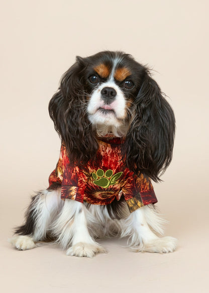 A small Cavalier King Charles Spaniel dog wearing a red and orange tie-dye pet shirt with a green paw print, sitting on a light wood floor with a person holding it.