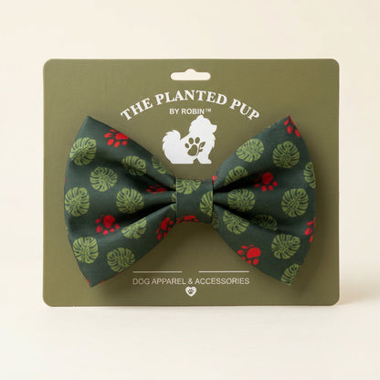 close up of green bow with green monstera and red paw print