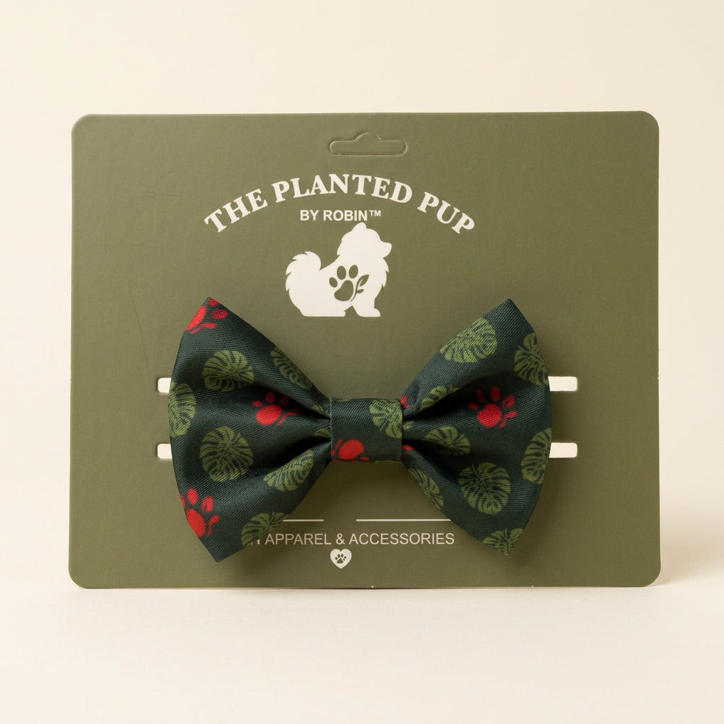 smalll green bowtie on display card