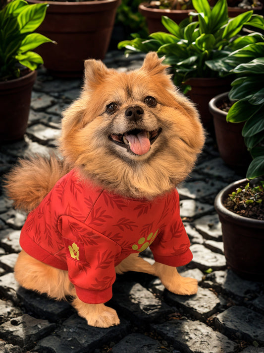 Red Fern Hoodie