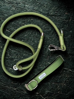 The Planted Pair in Green (leash & collar bundle)