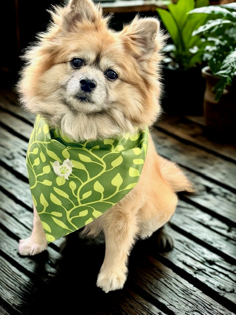 The Planted Pup  by Robin®