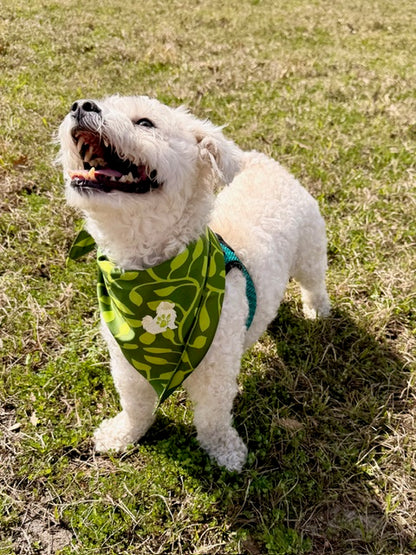 The Planted Bandana