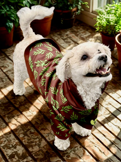 White dog wearing a brown and green patterned onesie indoors on a wooden floor.