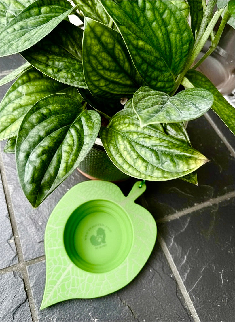 Lapping Leaf Travel Water Bowl ⭐️Customer Favorite