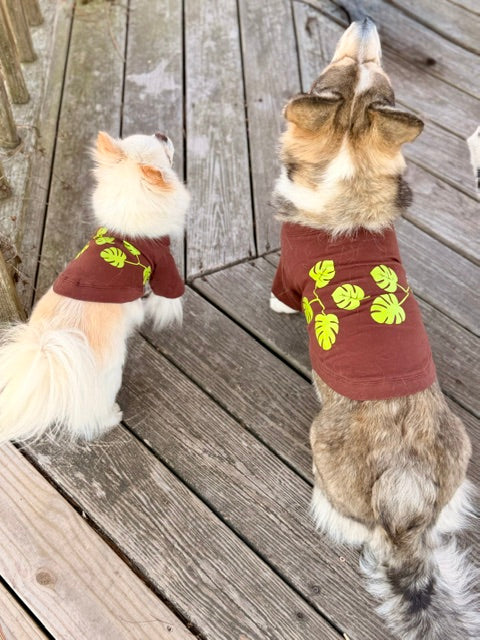 Two dogs wearing matching brown shirts with green leaf patterns on a wooden deck.