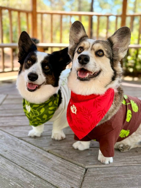 dogs in red and green bandanas