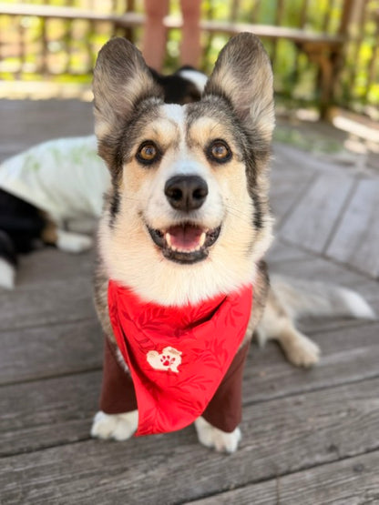 The Planted Bandana