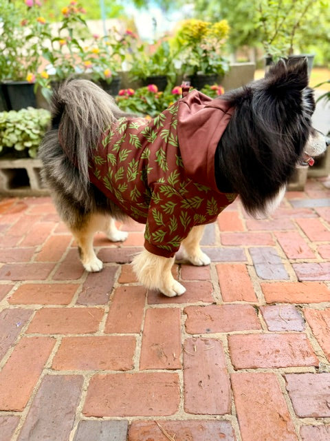 Dog wearing a red sweater with green leaf pattern on a brick patio