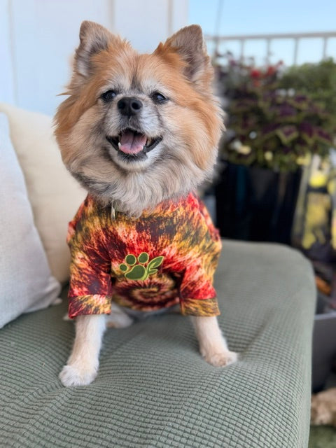 The Bloom Collection Tie-Dye Dog Tee (available for preorder/ July delivery)