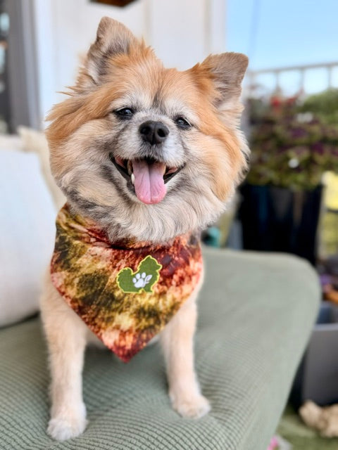 The Bloom Bandana (available for preorder/ July delivery)