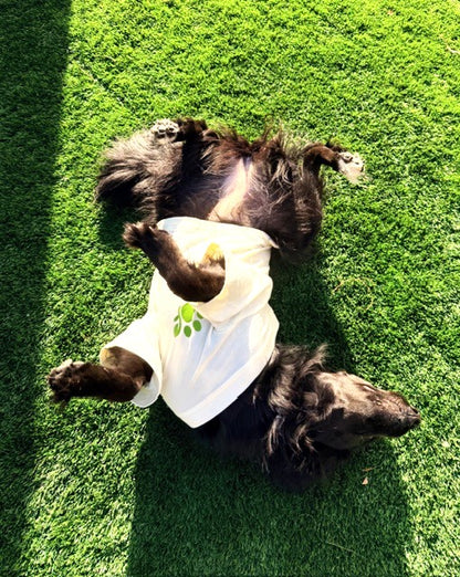 Dragonfly T-Shirt