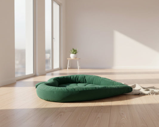 leaf shaped dog bed. minimalist style
