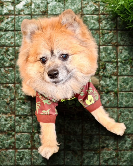 Small dog wearing a red shirt with a yellow character on a green tiled background