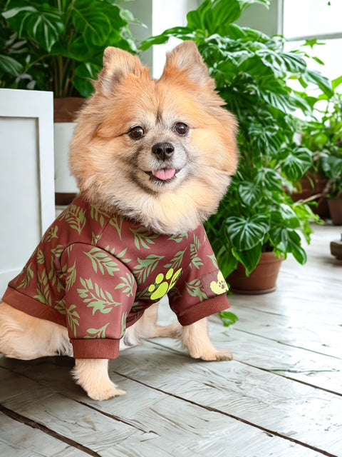 Small dog wearing a brown outfit with green leaf patterns indoors.