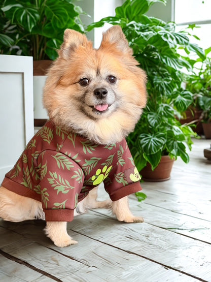 Small dog wearing a brown outfit with green leaf patterns indoors.