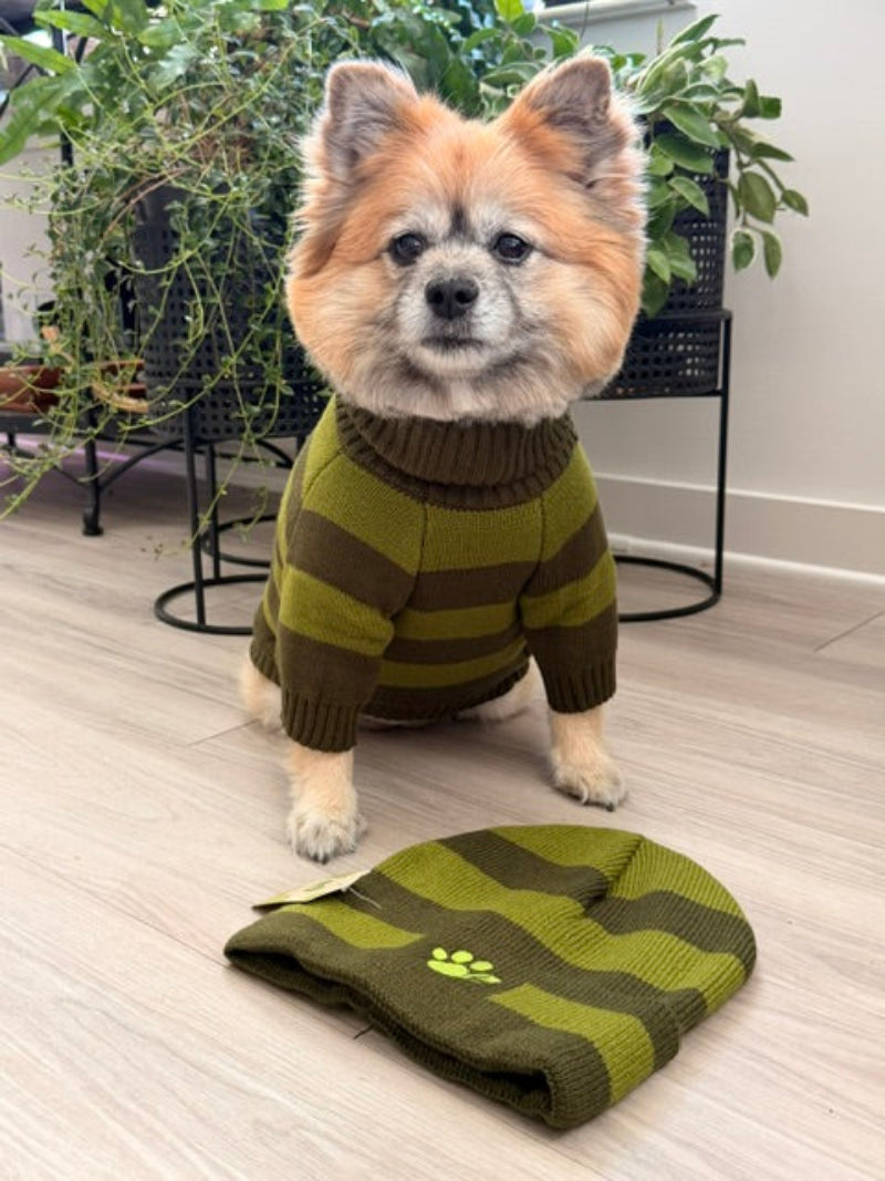 Lucy wearing the Olive & Branch dog sweater beside its matching human beanie.