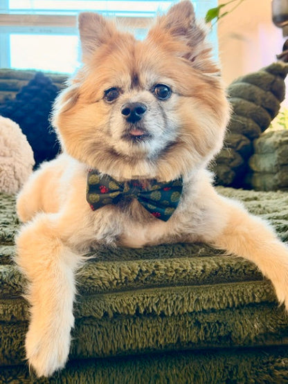 A fluffy cream-colored Pomeranian dog wearing a green bow tie with a small red pattern, lying on an olive green textured couch.