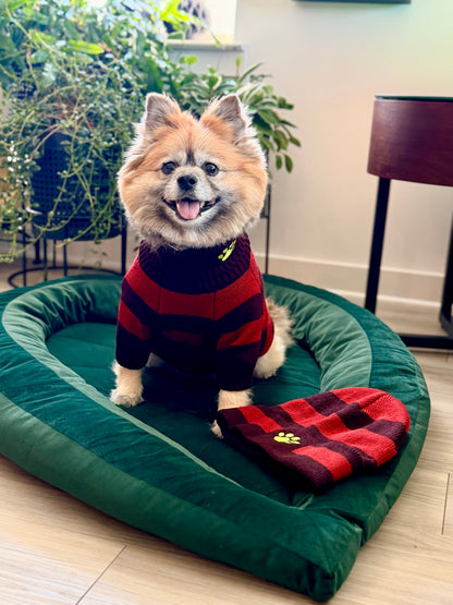 dog sitting on leaf dog bed in red/brown striped sweater