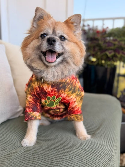 Small dog wearing a tie-dye shirt with a paw print on a couch