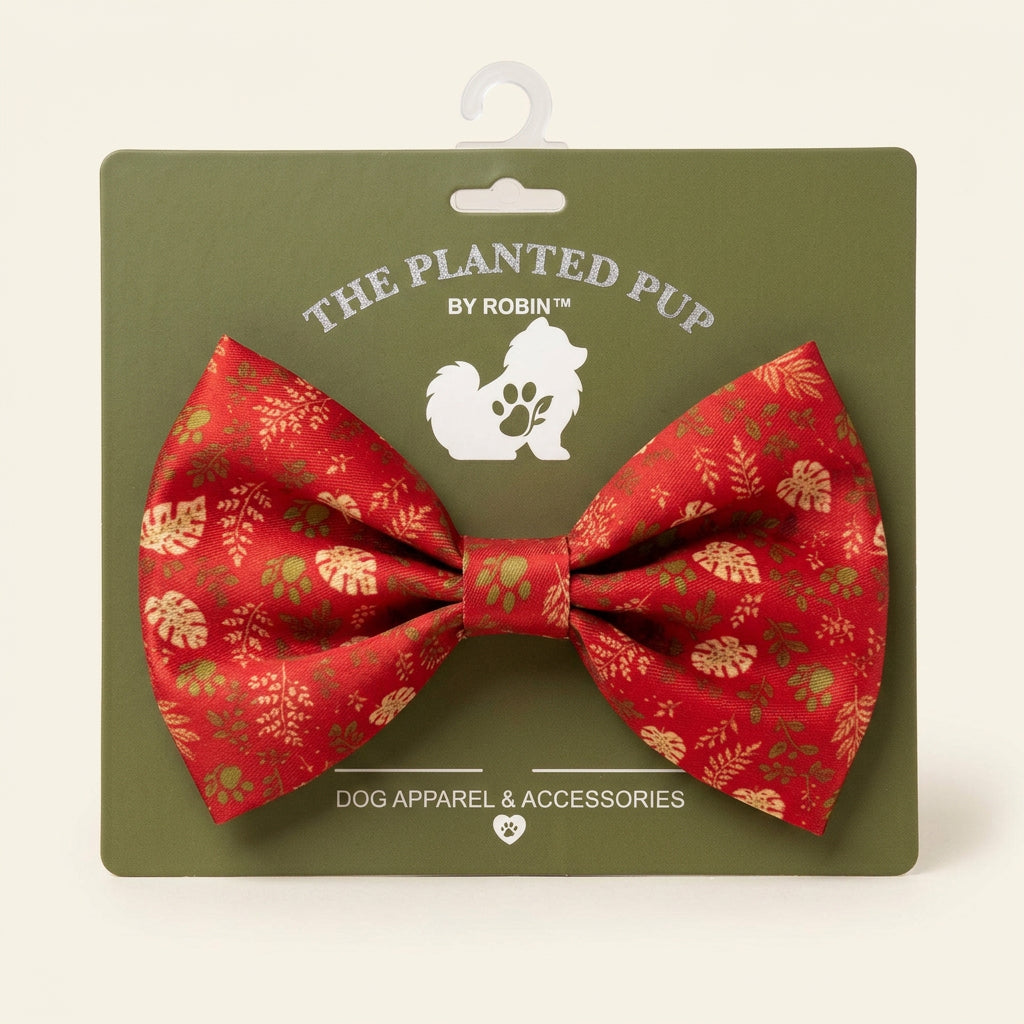red large bow on display card
