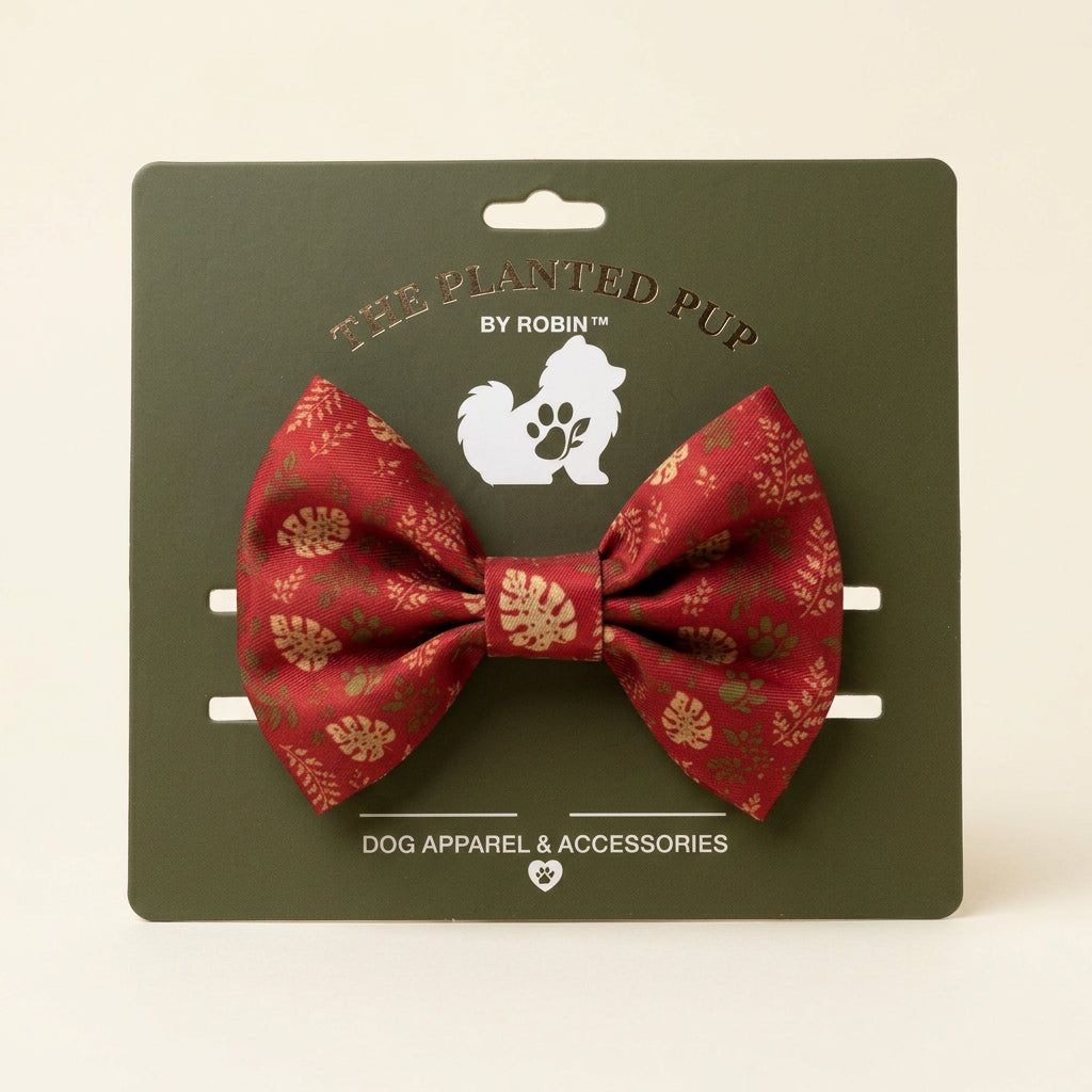 red bow on display card