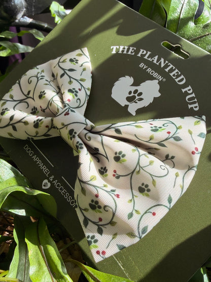 Cream bow tie with botanical deign sitting on plant leaves