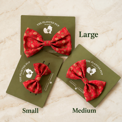 Ruff & Reddy Fern Bow Tie ⭐️NEW!