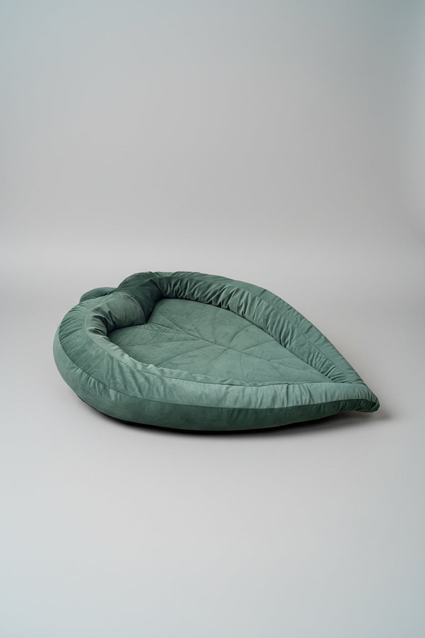 Green leaf shaped pet bed on a with a studio soft grey background