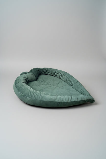 Green leaf shaped pet bed on a with a studio soft grey background
