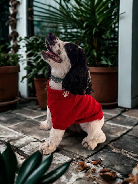 The Lena Collection Sweater — Rose Red