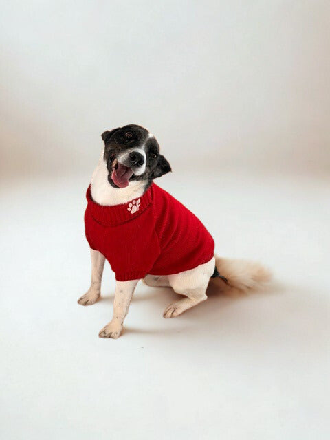 The Lena Collection Sweater — Rose Red