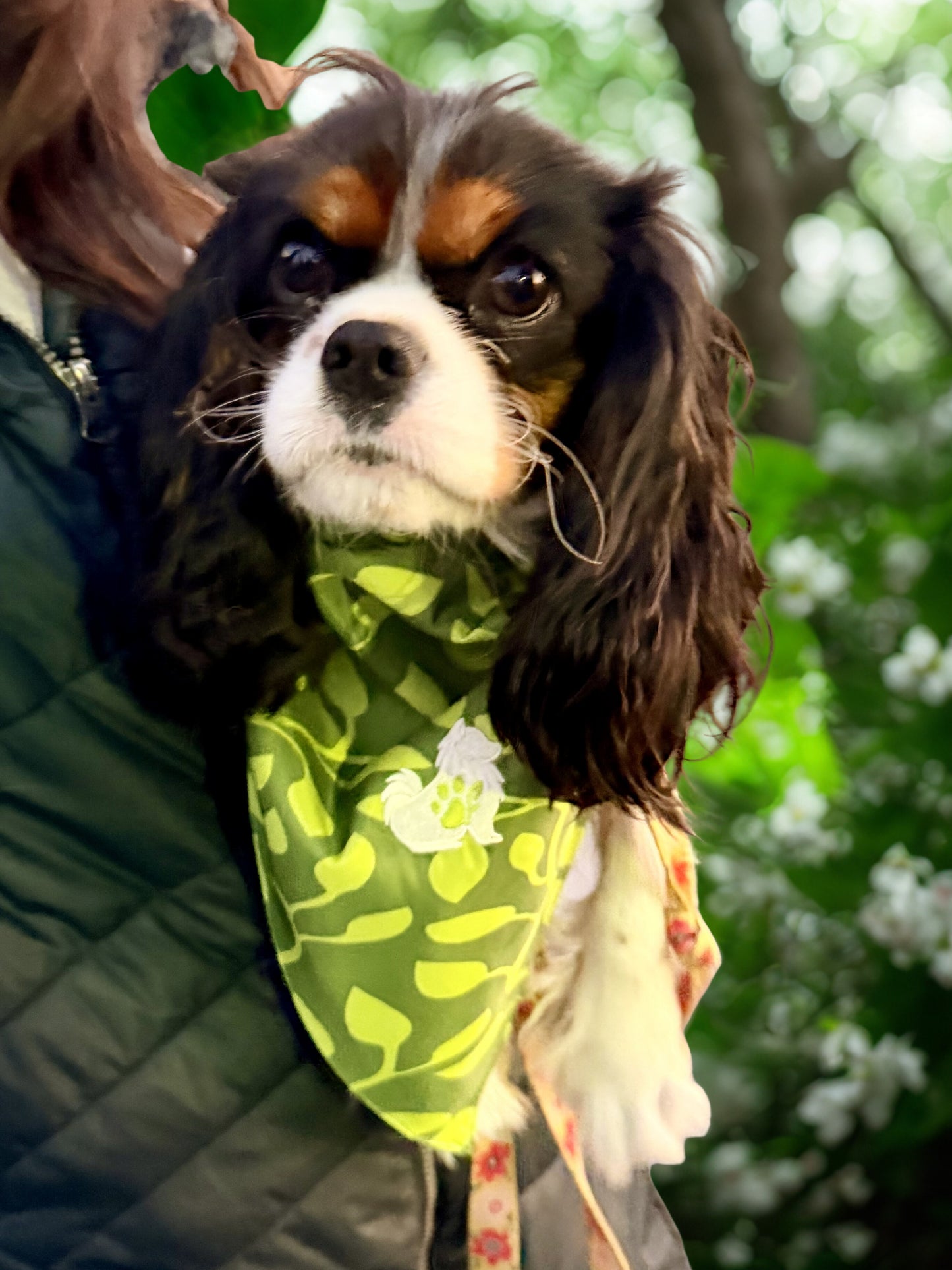The Planted Bandana